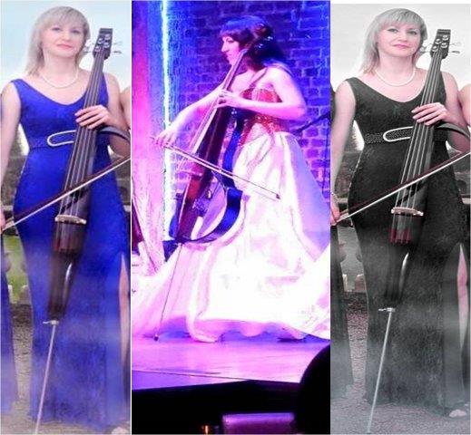 cello artists mysore